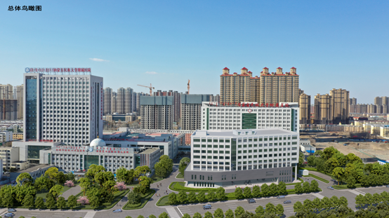 1651288977939947.png image.png