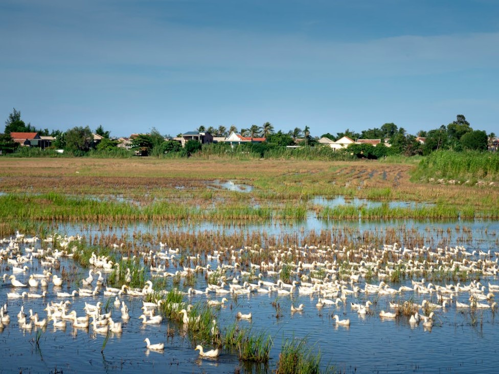 臺州灣現(xiàn)代農業(yè)水生態(tài)工程PPP項目